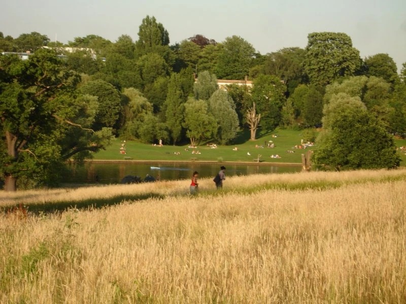 Una passeggiata per Hampstead&nbsp;Heath